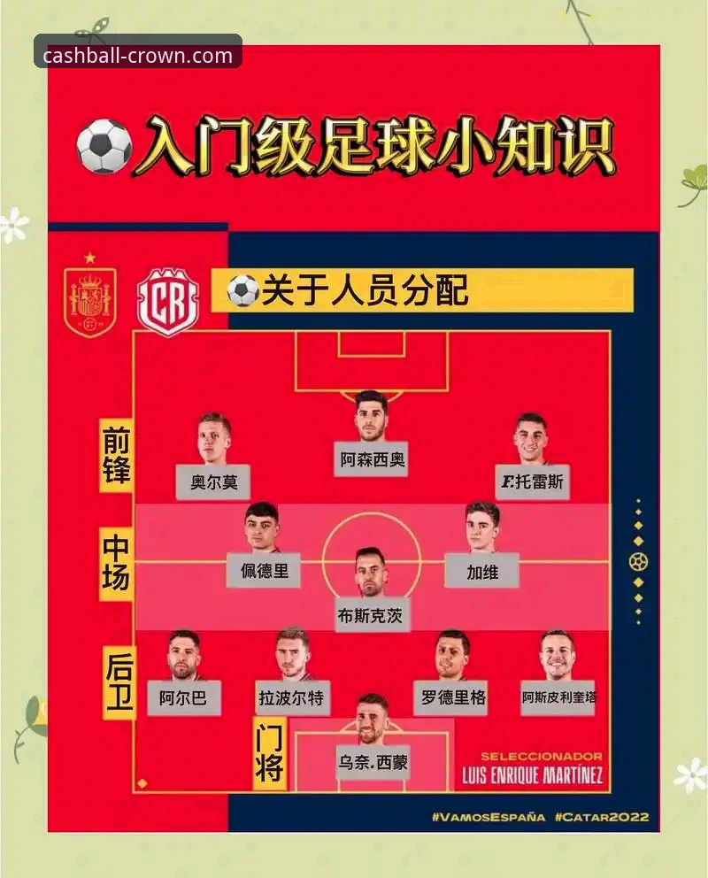 皇冠现金足球赛事直播必备功能与使用教程——从安装到观赛的完整指南